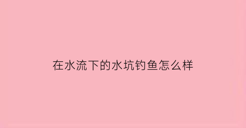 在水流下的水坑钓鱼怎么样(水坑里钓鱼)