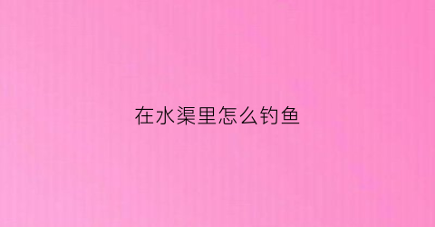 在水渠里怎么钓鱼(水渠里的小鱼)