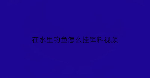 在水里钓鱼怎么挂饵料视频(在水中钓鱼)