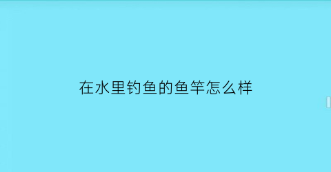 在水里钓鱼的鱼竿怎么样(钓鱼的放在水里的东西叫什么)