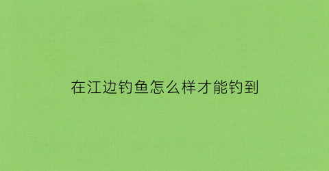 “在江边钓鱼怎么样才能钓到(在江边钓鱼怎么样才能钓到大鱼)