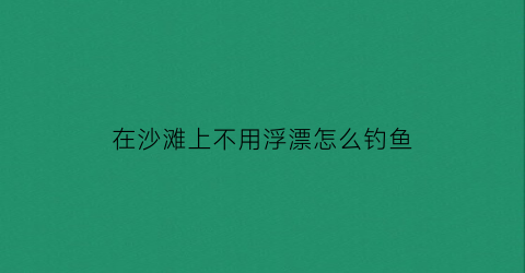在沙滩上不用浮漂怎么钓鱼(沙滩没有沙)