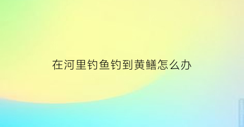 在河里钓鱼钓到黄鳝怎么办(钓鱼钓到黄鳝好不好)