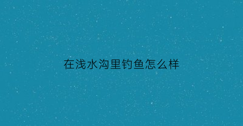 在浅水沟里钓鱼怎么样(浅水沟适合养什么鱼)