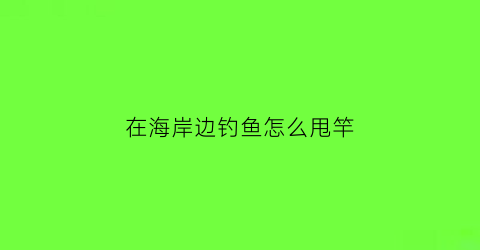 在海岸边钓鱼怎么甩竿(在海岸边钓鱼怎么甩竿呢)