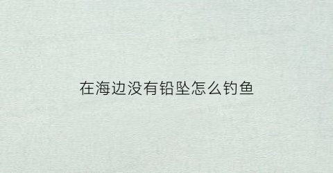 在海边没有铅坠怎么钓鱼