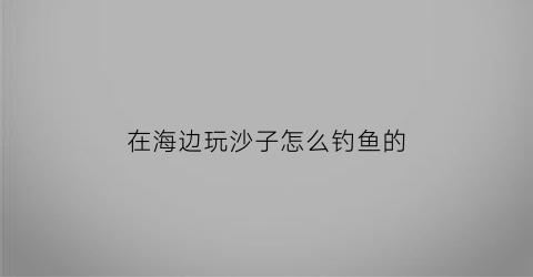在海边玩沙子怎么钓鱼的(去海边玩沙子)