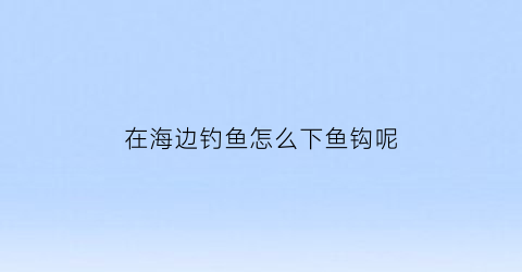 “在海边钓鱼怎么下鱼钩呢(在海边怎么钓鱼钓鱼)