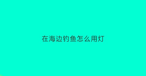 “在海边钓鱼怎么用灯(在海边钓鱼怎么用灯泡)