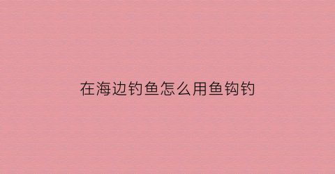在海边钓鱼怎么用鱼钩钓(海边钓法视频教程)