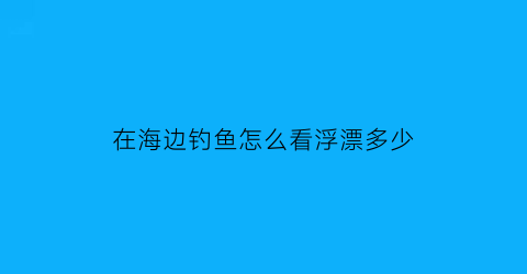 在海边钓鱼怎么看浮漂多少