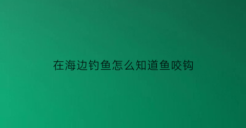 在海边钓鱼怎么知道鱼咬钩(在海边钓鱼怎么知道鱼咬钩了)