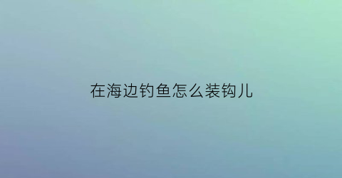 “在海边钓鱼怎么装钩儿(在海边钓鱼怎么装钩儿视频)