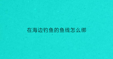 “在海边钓鱼的鱼线怎么绑(海边钓鱼怎么绑线组)