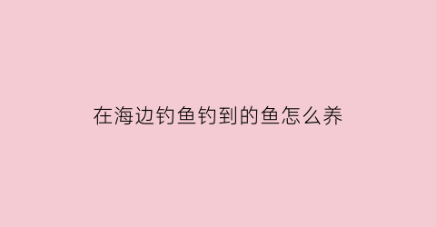 “在海边钓鱼钓到的鱼怎么养(海边上钓鱼怎么才好钓)