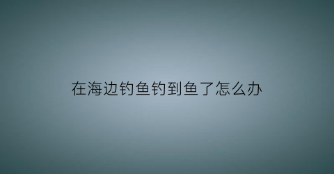 “在海边钓鱼钓到鱼了怎么办(海边钓到的鱼)