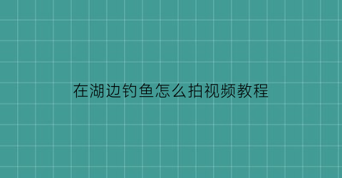 在湖边钓鱼怎么拍视频教程(在湖边钓鱼怎么拍视频教程大全)