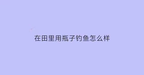 在田里用瓶子钓鱼怎么样(拿瓶子钓鱼)