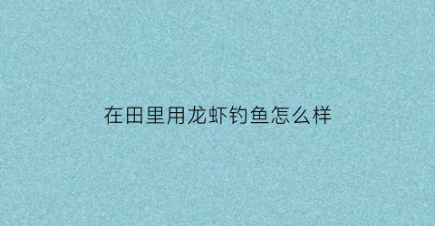 在田里用龙虾钓鱼怎么样(乡下钓龙虾)