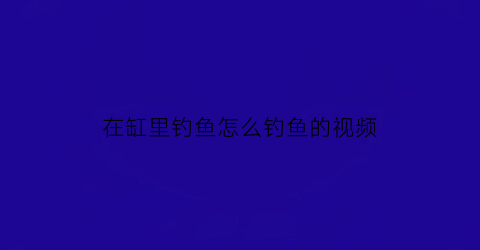 在缸里钓鱼怎么钓鱼的视频(在缸里钓鱼怎么钓鱼的视频教程)