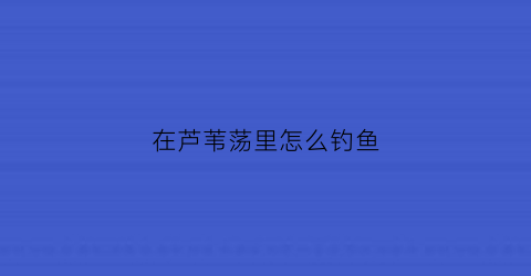 “在芦苇荡里怎么钓鱼(芦苇荡野钓鲫鱼)