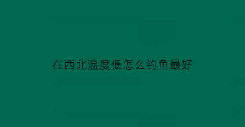 在西北温度低怎么钓鱼最好(西北地区钓鱼用什么饵料)