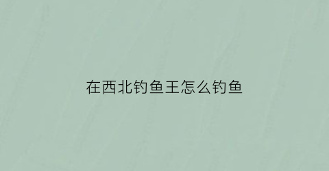 在西北钓鱼王怎么钓鱼(在西北钓鱼王怎么钓鱼视频)