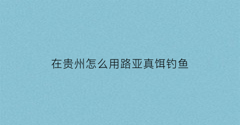 在贵州怎么用路亚真饵钓鱼(贵州路亚圣地)