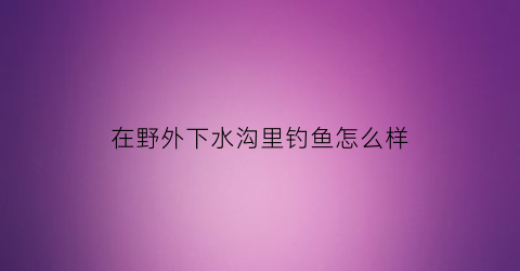 “在野外下水沟里钓鱼怎么样(野外水库钓鱼)