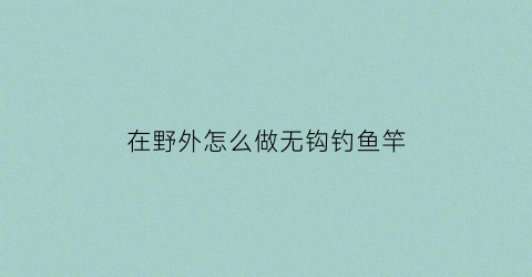 在野外怎么做无钩钓鱼竿(在野外怎么做无钩钓鱼竿呢)