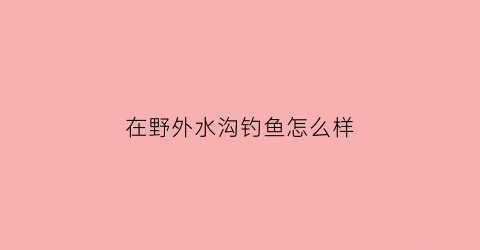 “在野外水沟钓鱼怎么样(在野外水沟钓鱼怎么样好钓)