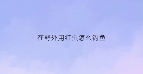 在野外用红虫怎么钓鱼(用红虫钓鱼的方法)