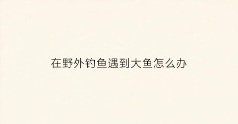 在野外钓鱼遇到大鱼怎么办(野外钓的鱼)