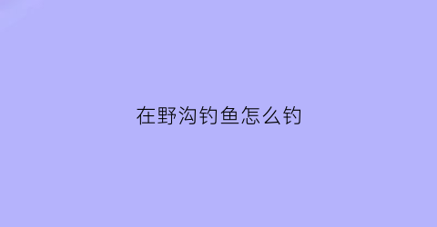 在野沟钓鱼怎么钓(在野沟钓鱼怎么钓最好)