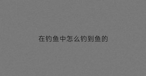 在钓鱼中怎么钓到鱼的(在钓鱼中怎么钓到鱼的视频)