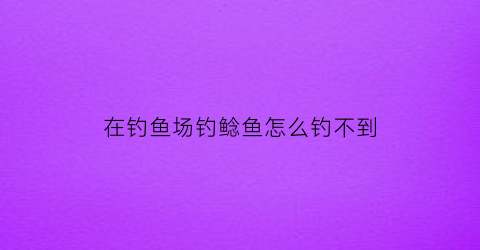 在钓鱼场钓鲶鱼怎么钓不到