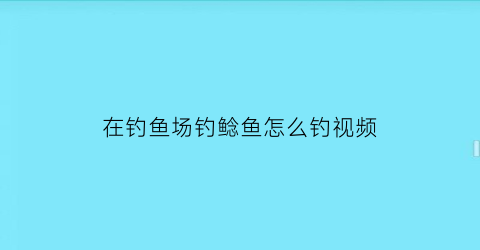在钓鱼场钓鲶鱼怎么钓视频(钓鲶鱼绝招)