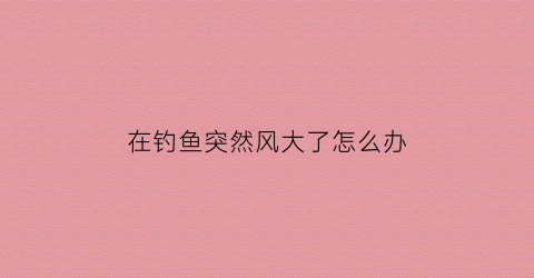 在钓鱼突然风大了怎么办(钓鱼刮风怎么办)