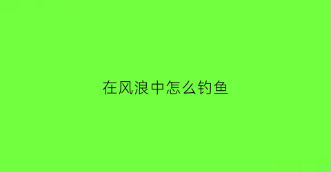 在风浪中怎么钓鱼(在风浪中钓鱼怎么看漂)