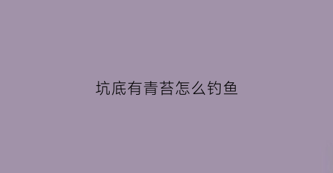 坑底有青苔怎么钓鱼