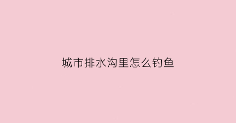 城市排水沟里怎么钓鱼(排水沟在哪里)