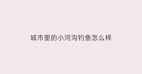城市里的小河沟钓鱼怎么样(城市河道里的鱼怎么钓)
