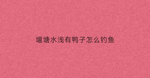 堰塘水浅有鸭子怎么钓鱼(池塘有水鸭用什么网捕捉)