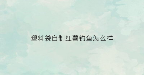 塑料袋自制红薯钓鱼怎么样(红薯用塑料袋包住)