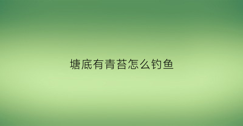 塘底有青苔怎么钓鱼