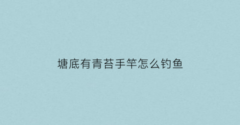 塘底有青苔手竿怎么钓鱼(塘底有青苔怎么处理)