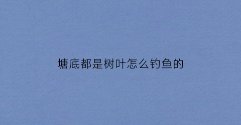 塘底都是树叶怎么钓鱼的(水底有树叶怎么钓鱼)