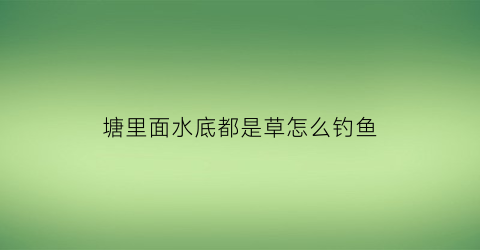 “塘里面水底都是草怎么钓鱼(水塘钓草鱼技巧)