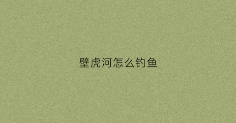 壁虎河怎么钓鱼(壁虎河怎么钓鱼最好)