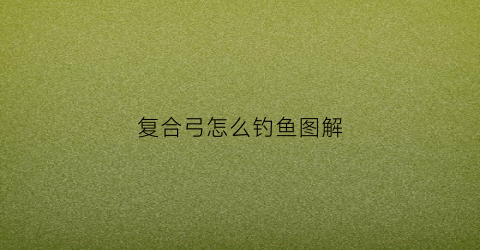 复合弓怎么钓鱼图解(如何使用复合弓)